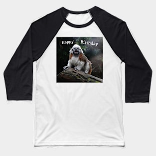 Birthday Monkey Baseball T-Shirt